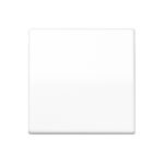 Taustiņš slēdzim balts, AS 500