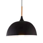 Piekaramais LED gaismeklis Indoor-009 (35W)