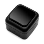 1G pārslēdzamais slēdzis Palmiye melns