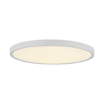 Virsapmetuma LED griestu dimējams gaismeklis (48W, 5700 lm, D400×H30) balts